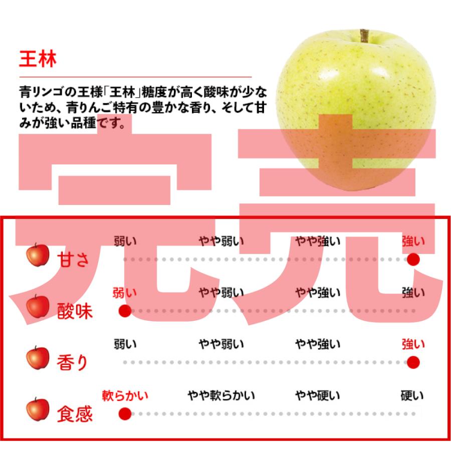 令和7年 青森県産 訳あり りんご 10kg 40玉前後 残りサンふじ ご家庭用