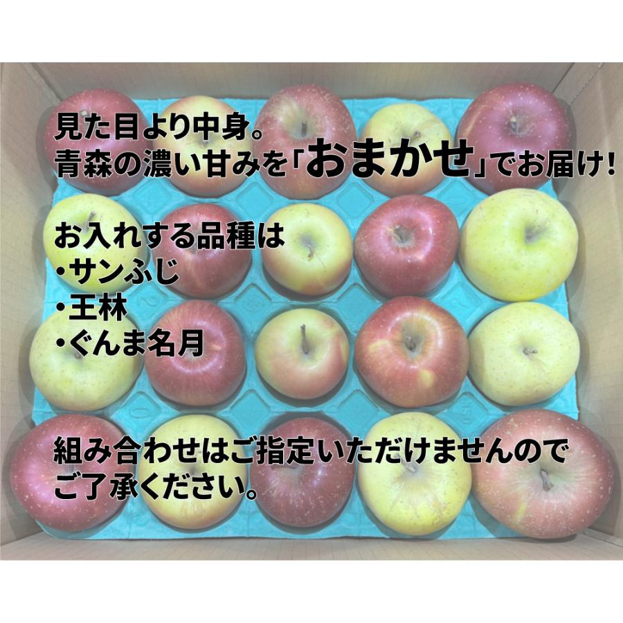 令和7年 青森県産 訳あり りんご 5kg 20玉前後 サンふじ 王林 ぐんま名