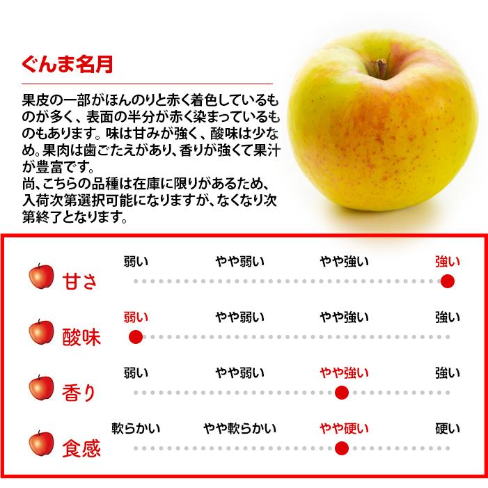 出荷開始 令和6年 青森県産 訳あり りんご 5kg 20玉前後 サン