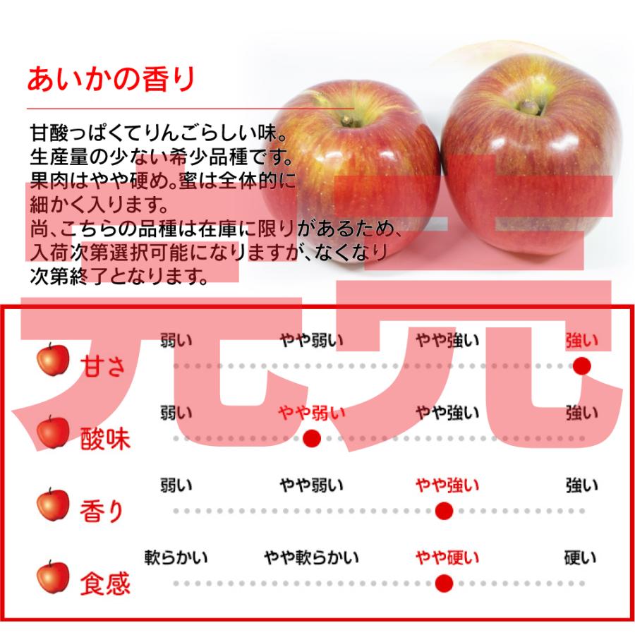 令和7年 青森県産 訳あり りんご 5kg 20玉前後 サンふじ 王林 ぐんま名