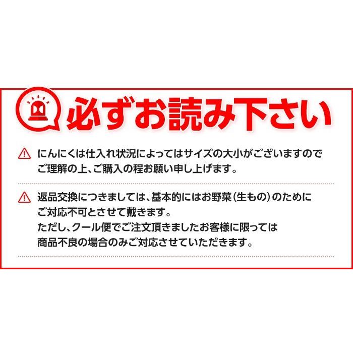 令和7年産 訳あり にんにく Lサイズ 1kg 大型注文大歓迎です！即日発送 