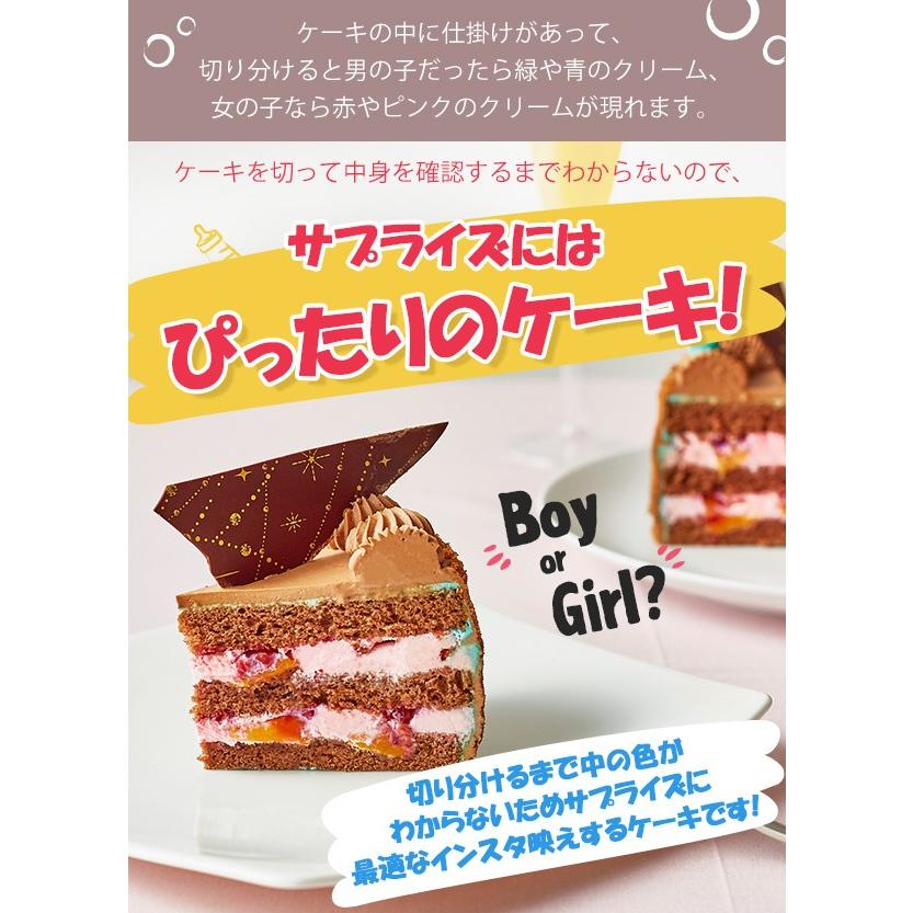 ギフト 送料無料 ジェンダーリビールケーキ チョコラ 5号 (4〜6人用) 人気 お取り寄せスイーツ 出産 性別お披露目 お菓子 | ブランド登録なし | 01