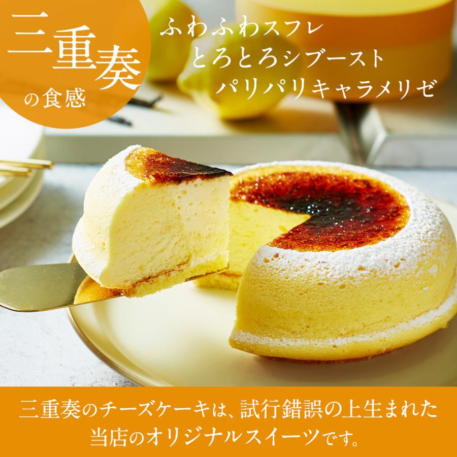 母の日 ギフト チーズケーキ 天空のチーズケーキ食べ比べセット (プレーン ショコラ) 誕生日 人気 バスク｜kitahama-sweets｜07