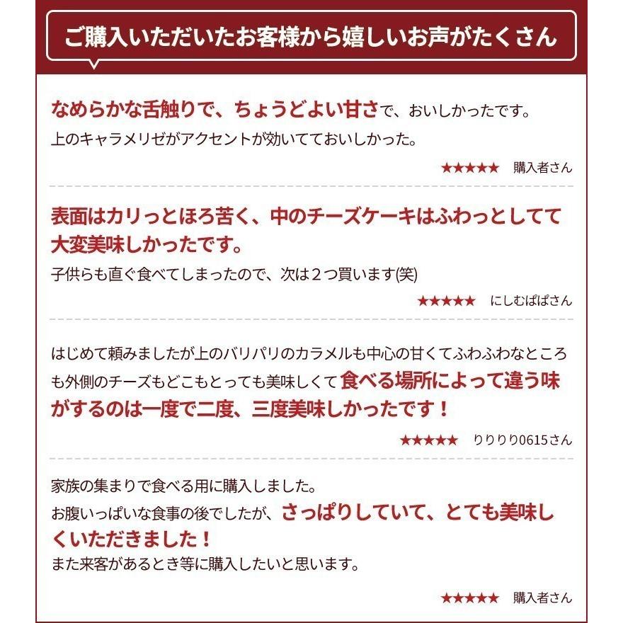 チーズケーキ 天空のチーズケーキ 利休 (抹茶) バースデー オリジナルクッキー 誕生日 人気 バスク | 天空のスイーツ | 05
