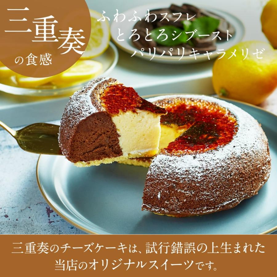 天空のスイーツ ギフト 送料無料 チーズケーキ 天空のチーズケーキ