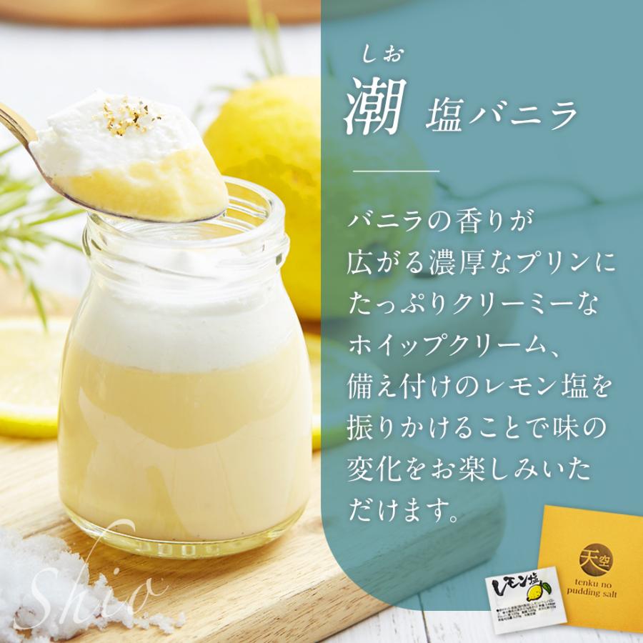お中元 夏ギフト 天空のプリン 雅×潮 キャラメル 塩バニラ 6個入り 送料無料 ヒルナンデス ポイント利用 お取り寄せ | 天空のスイーツ | 05