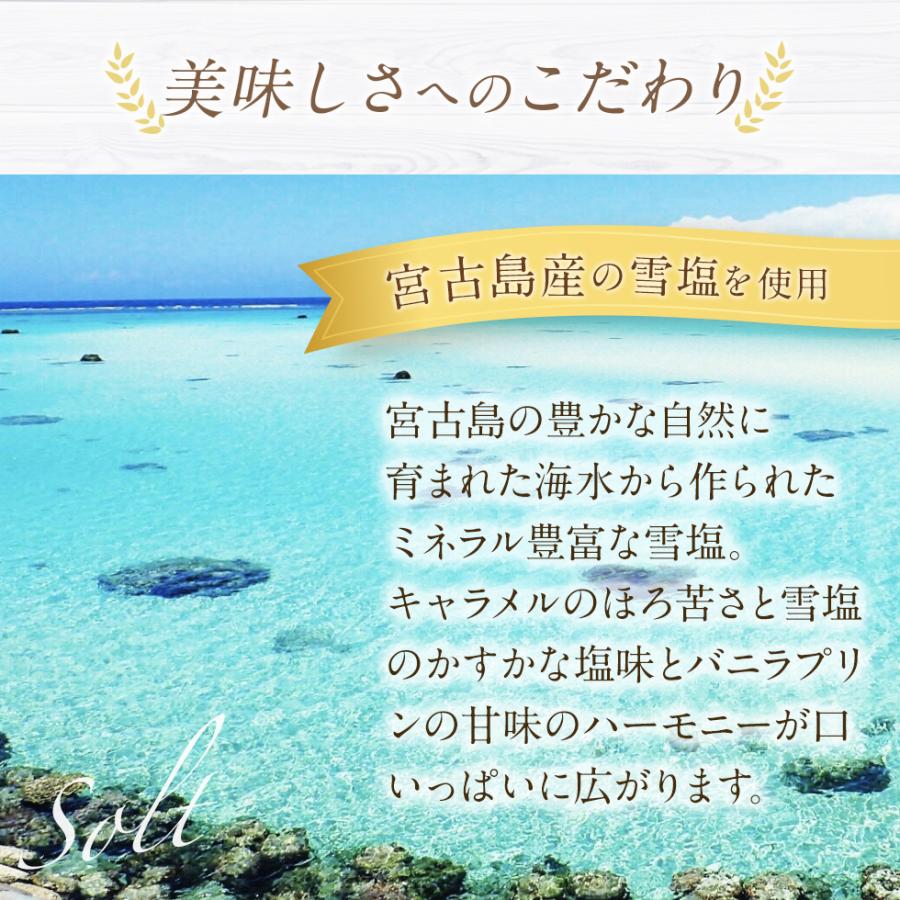 お中元 夏ギフト 天空のプリン 雅×潮 キャラメル 塩バニラ 6個入り 送料無料 ヒルナンデス ポイント利用 お取り寄せ | 天空のスイーツ | 06