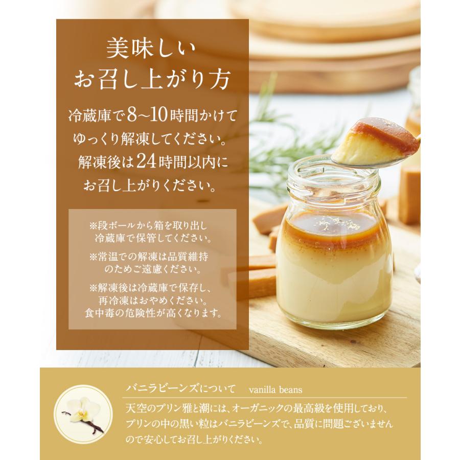 天空のスイーツ 夏ギフト 送料無料 天空のプリン 雅 6個入り 2箱セット