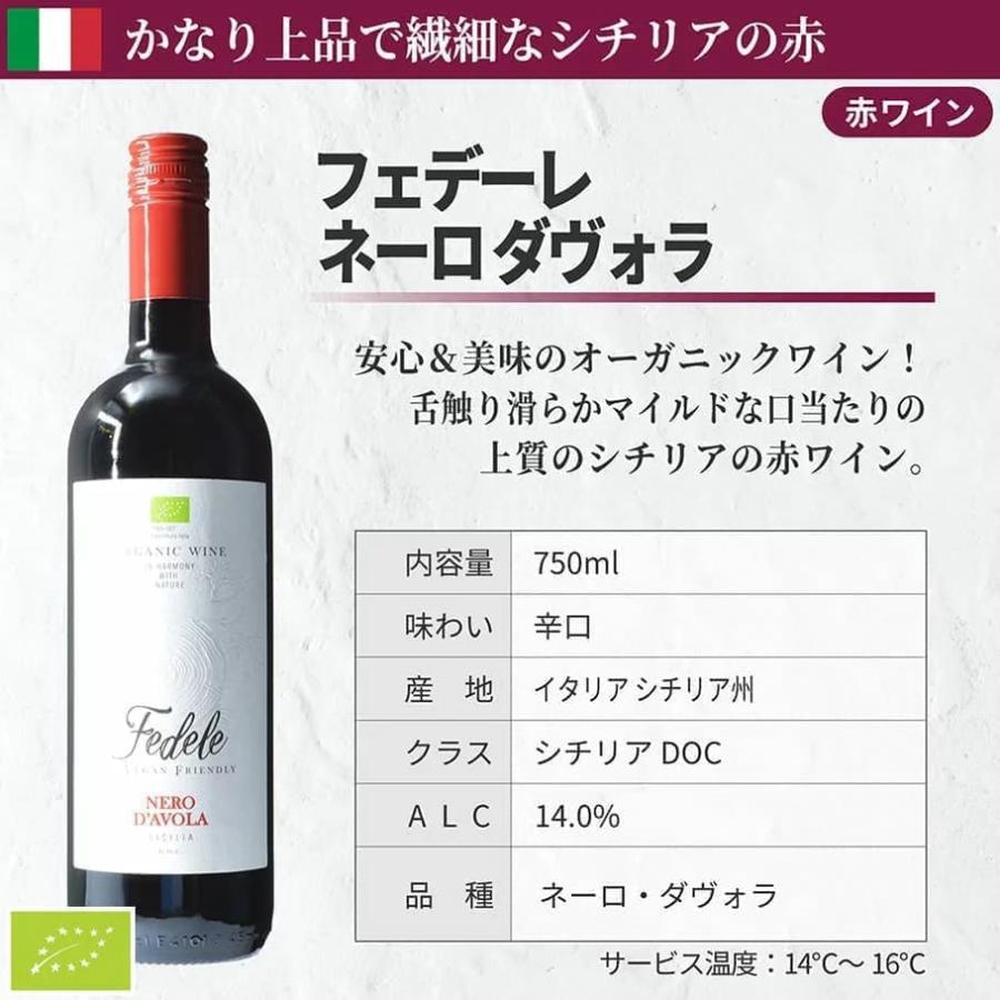 赤ワインセット 【 送料無料 】 イタリアワインファンのための イタリアン赤ワイン 5本セット 第08弾 【3,447円OFF】 | 赤ワイン 飲み比べ｜kitahamalab｜06