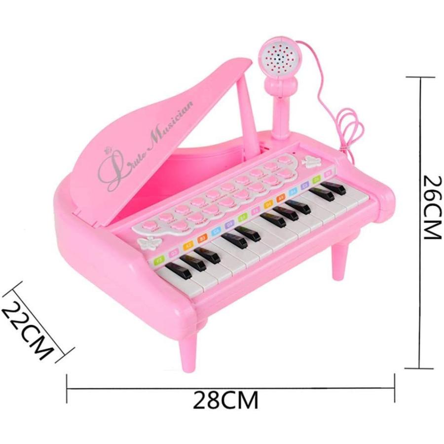 楽器玩具 電子 ミニ ピアノ 音楽玩具 こども おもちゃ 知育玩具 音楽 キーボード 子供用玩具 多機能楽器 クリスマス 誕生日 プレゼン ト ギフト 贈り物 2色 :b-toy-ky168:キタハラストア - 通販 - Yahoo!ショッピング 楽器玩具 電子 ミニ ピアノ 音楽玩具 こども おもちゃ 知育玩具 音楽 キーボード 子供用玩具 多機能楽器 クリスマス 誕生日 プレゼン ト ギフト 贈り物 2色 :b-toy-ky168:キタハラストア - 通販 - Yahoo!ショッピング