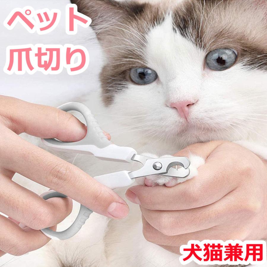 贈答品 サファイヤ ツメやすり ペット用 犬用 トリミング用品 グルーミング 爪やすり メール便OK