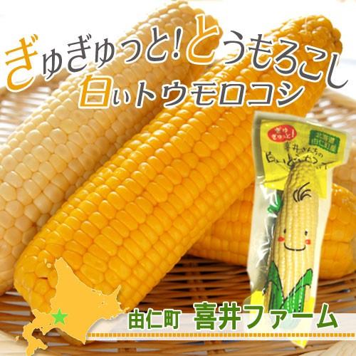 由仁町喜井ファーム ぎゅぎゅっと！とうもろこし ホワイトショコラ