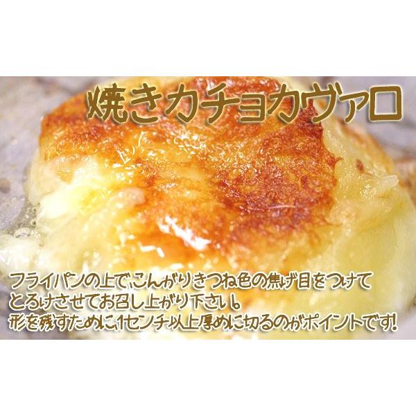 カチョカバロチーズ 北海道はやきた夢民舎のチーズ　ピザ・グラタンなどチーズを使う料理に最適なチーズ｜kitaiti｜03