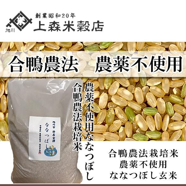 うのにもお得な 人気定番の 合鴨農法米ななつぼし 玄米 5kg 北海道産 農薬不使用玄米 stassengroup.com stassengroup.com