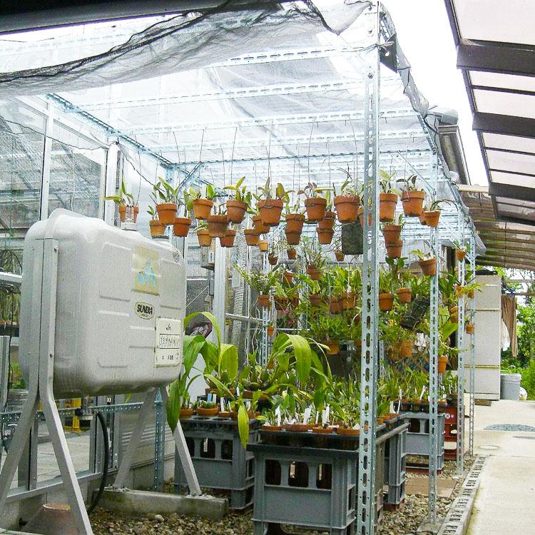 鋼材アングル A型チャンネル 2本セット 45cm 2×40×30×9×450mm ユニクロ