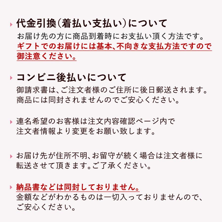 しゃん様オーダーページ アヒルさんのオムツ＊オーダー専用ページ