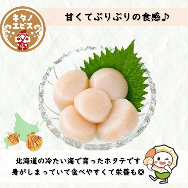 1kg)白玉お刺身ほたて 訳あり特価品 不揃い1kg お買い得 北海道産
