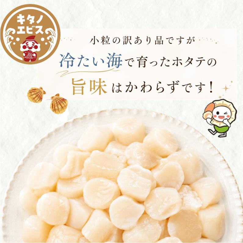 1kg)お刺身ほたて 訳あり特価品 不揃い1kg お買い得 北海道産 グルメ