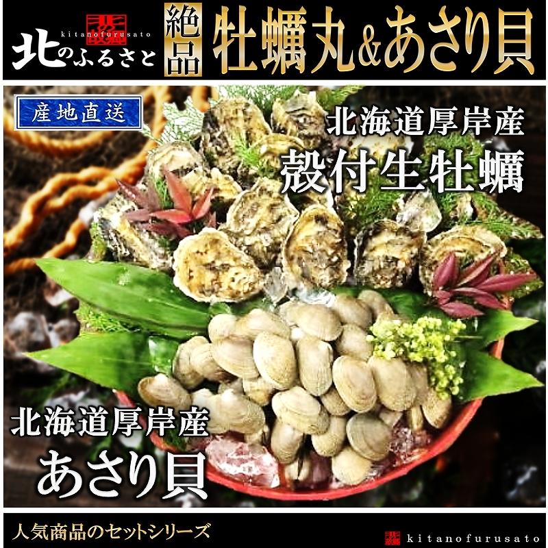 殻付き 生牡蠣 マルえもん あさり 貝 少量 セット カキナイフ 軍手付 北海道 厚岸