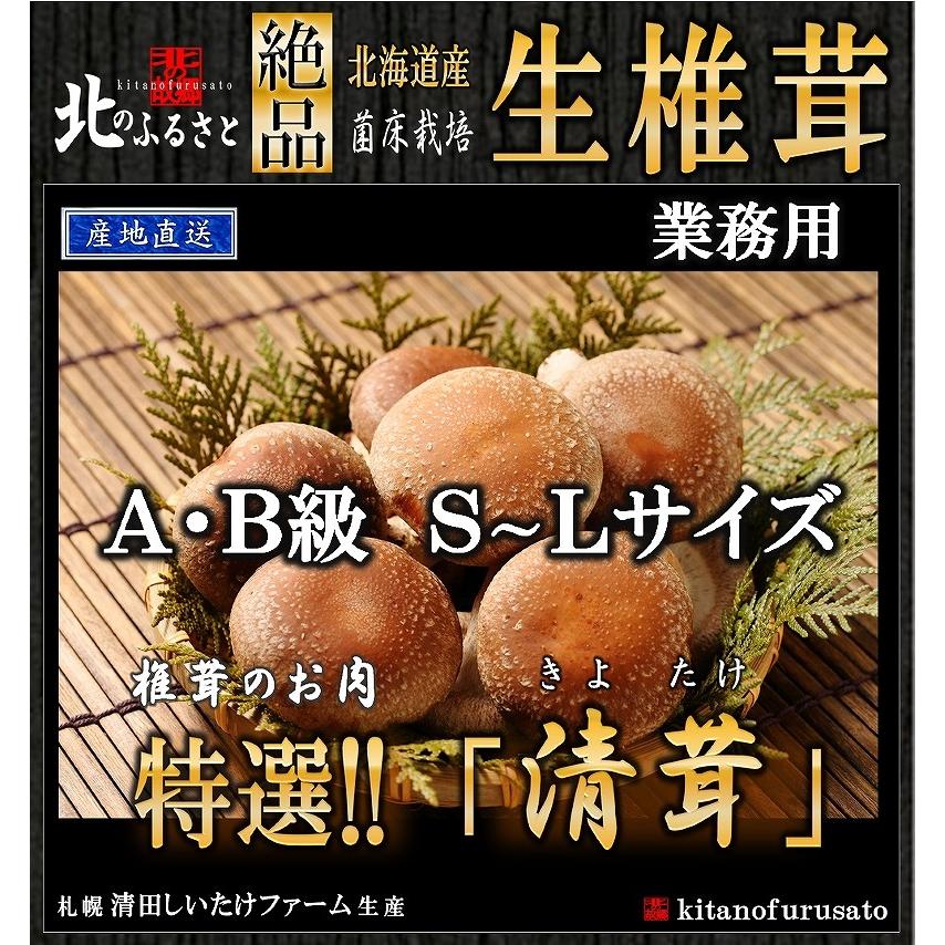 生 椎茸 肉厚な 清茸 業務用 A・B級 S〜Lサイズ 3kg 無選別 産地直送 札幌 清田産 北海道 有明の名水 椎茸 シイタケ しいたけ 業務用 きのこ キノコ