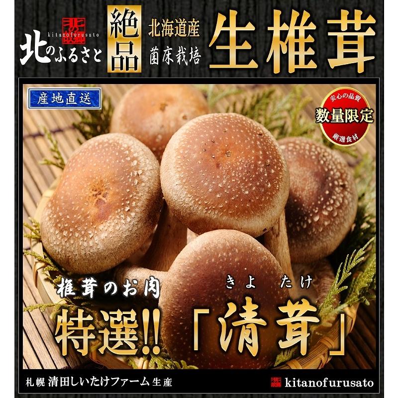 生 椎茸 肉厚な高級 清茸 Lサイズ 8玉 × 2パック 産地直送 北海道 札幌