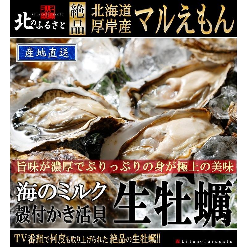 北海道 厚岸産 マルえもん 生 牡蠣 殻付き LLサイズ 50個 カキナイフ 軍手付 産地直送 120〜150g未満/個 カキ かき 生食用 生牡蠣 ギフト お歳暮 お正月