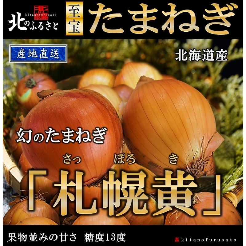 北海道産 幻の たまねぎ 札幌黄 ( Lサイズ ・ 5kg入り ） 期間