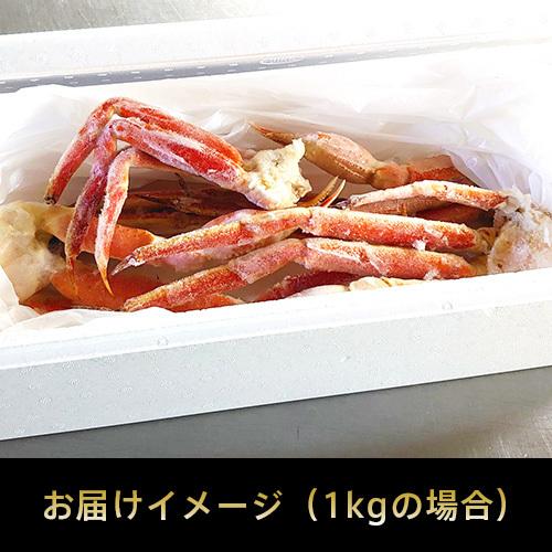 送料無料】冷凍 ボイルズワイガニ脚 1kg（約4肩〜7肩）業務用・訳