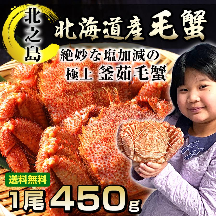 北海道産 極上 毛蟹 1尾 450g前後 海鮮ギフト 毛ガニ 特大 カニ 海産物 贈り物 お祝い 御歳暮 年末 年始 ギフト 食べ物 毛がに Kegani001 北之島 海幸工房ヤフー店 通販 Yahoo ショッピング
