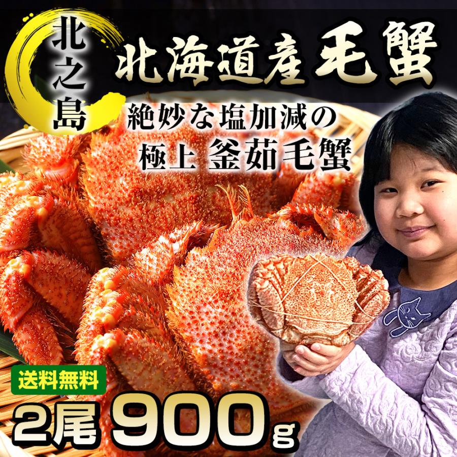 北海道産 極上 毛蟹 2尾 900g前後 海鮮ギフト 毛ガニ 特大 海産物 御歳暮 年末 年始 贈り物 お祝い お中元 ギフト 毛がに Off