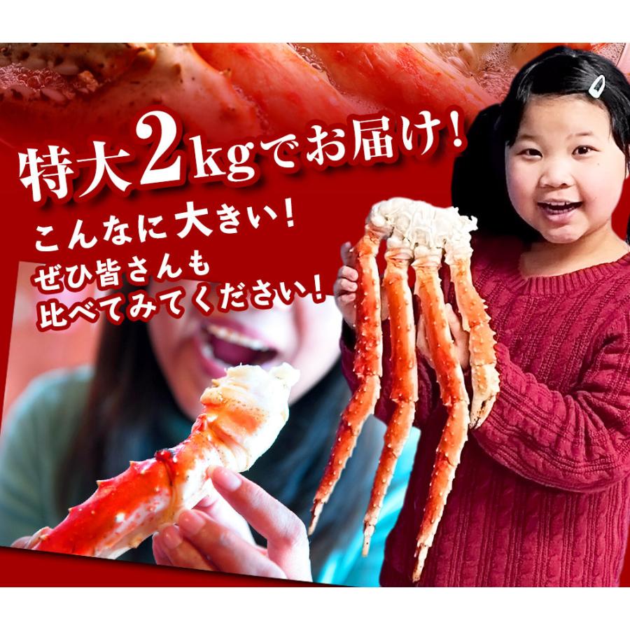 特大 本たらば蟹 脚 シュリンク 2kg 2肩 タラバガニ 海鮮ギフト 海産物 北海道 贈り物 お祝い 御歳暮 年末 年始 ギフト 詰め合わせ｜kitanoshima｜05