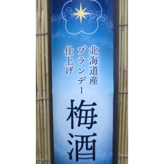 北海道産ブランデー仕上げ梅酒 500ml ご当地 北海道限定 : 北の魚河岸