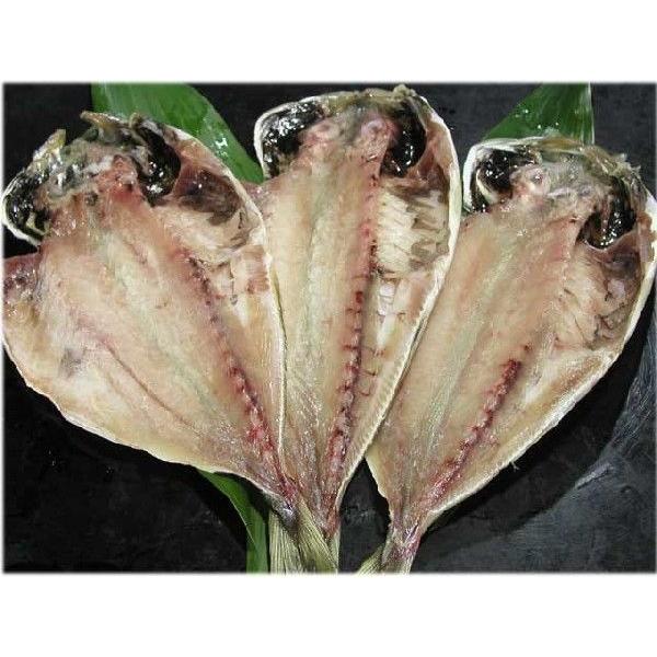 価格交渉ok送料無料 紅鮭と青魚 あじ さば さんま の干物セット Wantannas Go Id