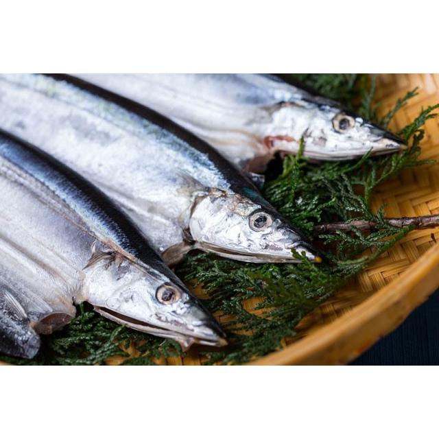価格交渉ok送料無料 紅鮭と青魚 あじ さば さんま の干物セット Wantannas Go Id