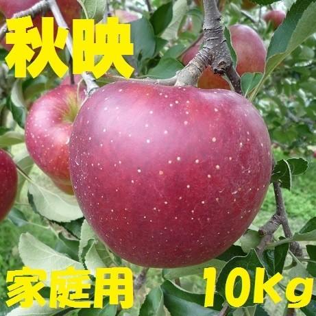 8月23日から予約販売開始！10月中旬頃から順次発送！】長野産 秋映