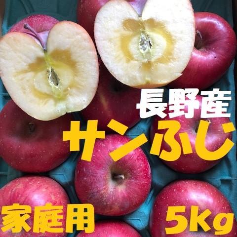 ご注文日から1〜3営業日以内に発送！】長野産 サンふじ 家庭用 約5kg
