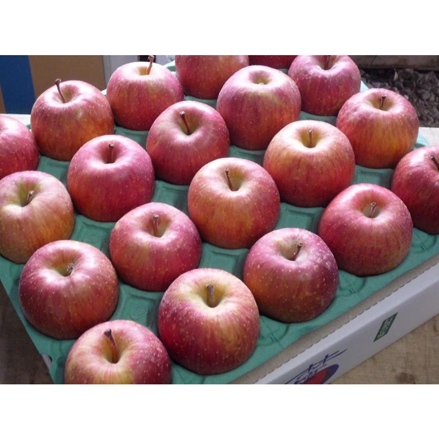 ご注文日から1〜3営業日以内に発送！】長野産 サンふじ 家庭用 約5kg