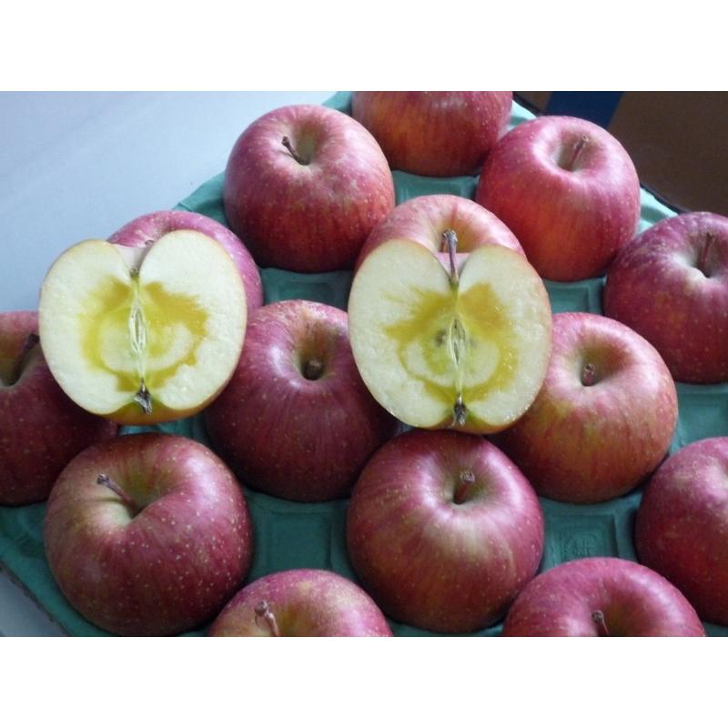 ご注文日から1〜3営業日以内に発送！】長野産 サンふじ 家庭用 約5kg