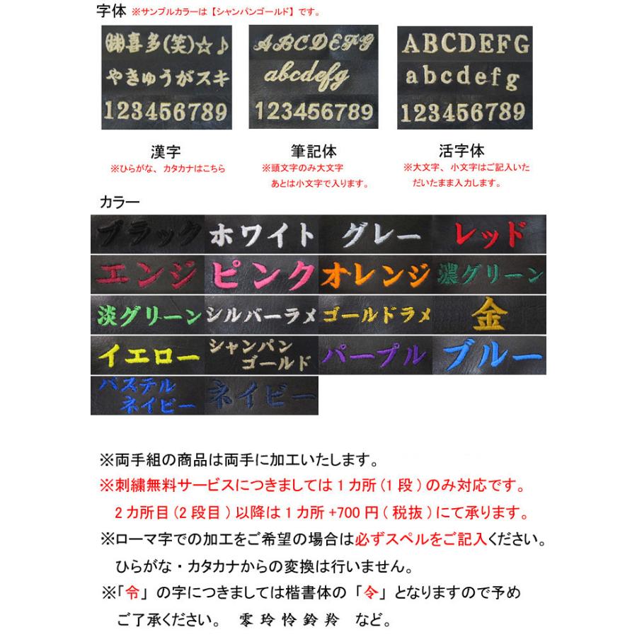 最適な価格 ミズノプロ Mizuno Pro ボールケース 1fjb1002 安いそれに目立つ Live Xleveltv Net