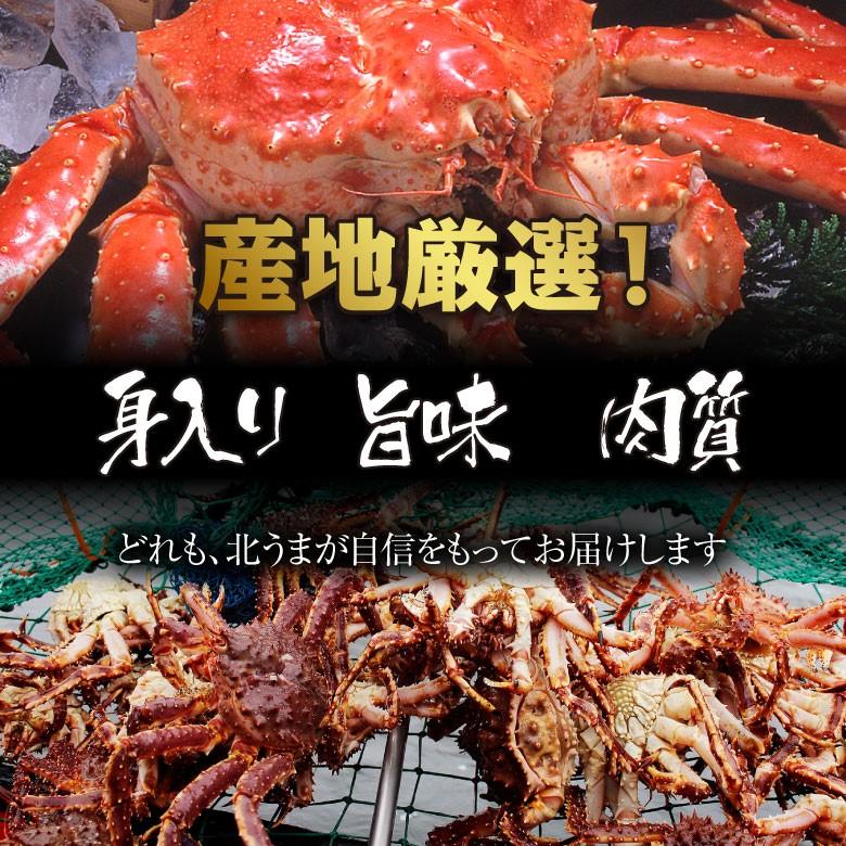 タラバガニ 1.6kg（800g×2） タラバガニ 6kg 800g×2