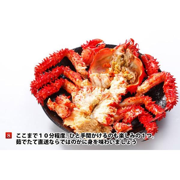 父の日カード まだ間に合う 北海道産 花咲がに 650g 前後 1尾入 冷凍品 カニ 蟹 花咲ガニ ご当地グルメ 送料無料 爆買 |  | 12