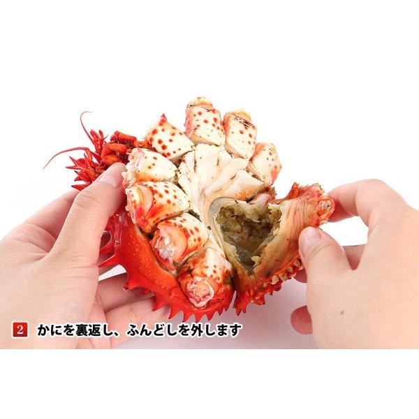 父の日カード まだ間に合う 北海道産 花咲がに 650g 前後 1尾入 冷凍品 カニ 蟹 花咲ガニ ご当地グルメ 送料無料 爆買 |  | 06