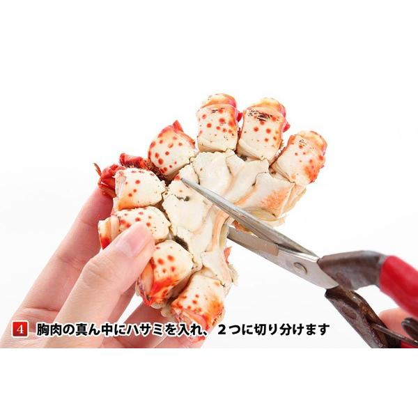 父の日カード まだ間に合う 北海道産 花咲がに 650g 前後 1尾入 冷凍品 カニ 蟹 花咲ガニ ご当地グルメ 送料無料 爆買 |  | 08