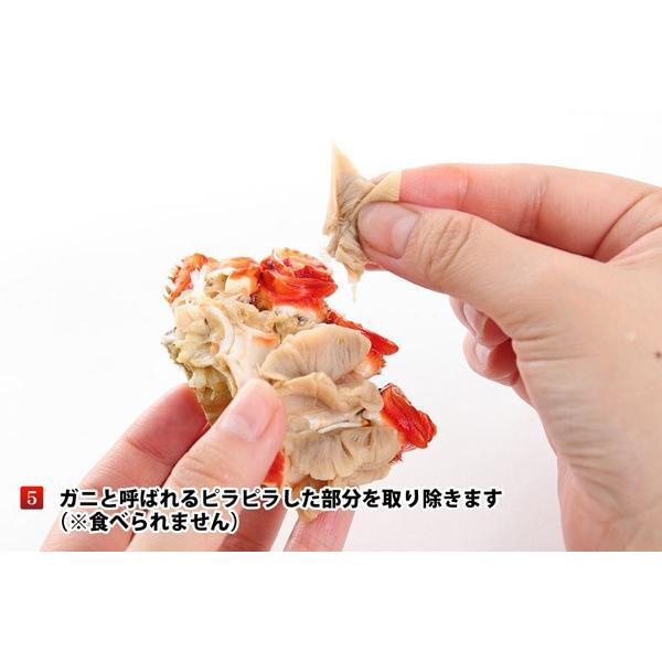 父の日カード まだ間に合う 北海道産 花咲がに 650g 前後 1尾入 冷凍品 カニ 蟹 花咲ガニ ご当地グルメ 送料無料 爆買 |  | 09