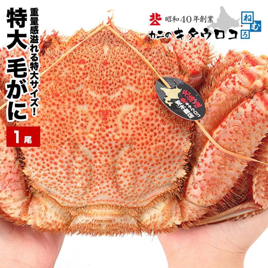 年末指定OK】カニ かに 蟹 特大 毛がに 1尾 1kg から 1.1kg前後 北海道産 ロシア産 送料無料 毛蟹 毛ガニ ギフト :0-hor-0051-n:カニのキタウロコ - 通販 - Yahoo!ショッピング 年末指定OK】カニ かに 蟹 特大 毛がに 1尾 1kg から 1.1kg前後 北海道産 ロシア産 送料無料 毛蟹 毛ガニ ギフト :0-hor-0051-n:カニのキタウロコ - 通販 - Yahoo!ショッピング