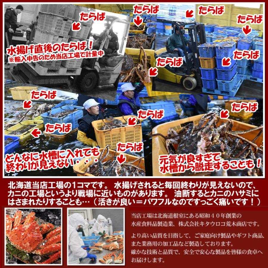 特大 たらばがに 脚 1肩 1.1kg以上 化粧箱入 ボイル カニ かに 蟹 タラバガニ 茹で 足 ギフト 御歳暮 お歳暮 送料無料 爆買 |  | 05