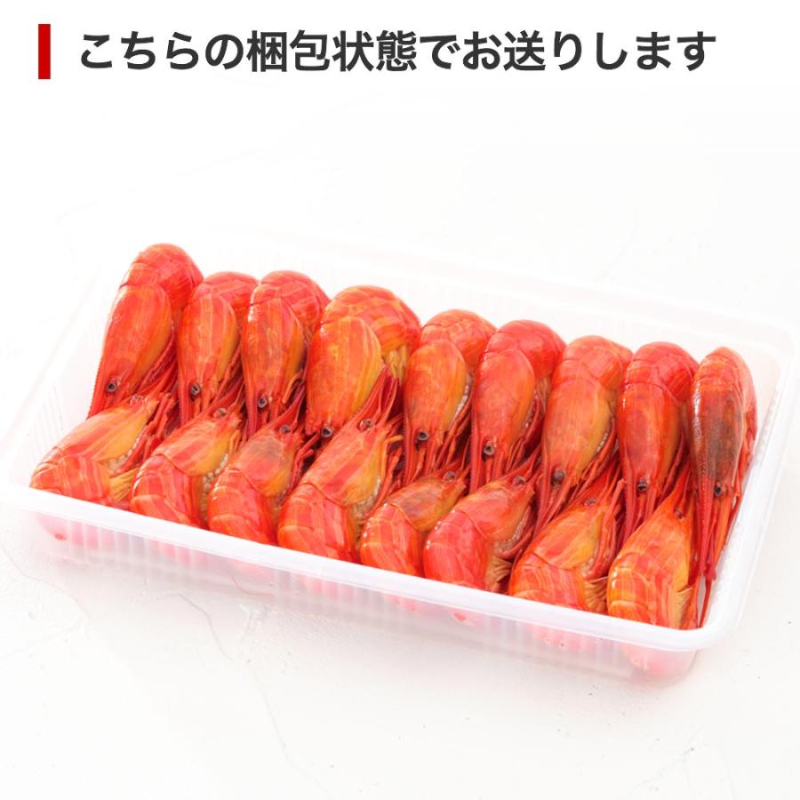 海老 エビ しまえび シマエビ 300g 北海道 根室産 (16尾から18尾前後入)  えび 爆買 |  | 04