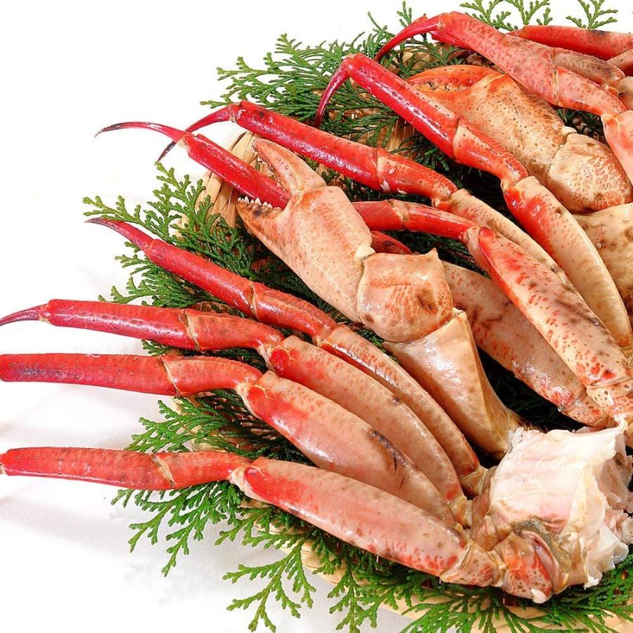 かに カニ 蟹 まるずわいがに 脚 1kg 3肩前後入 ズワイガニ 訳あり 送料無料 0 Sno 0303 カニのキタウロコ 通販 Yahoo ショッピング