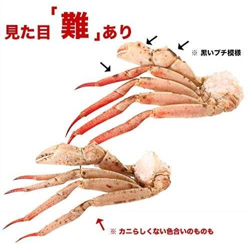 カニ かに 蟹 まるずわいがに 脚 1kg 訳あり ズワイ ずわい 送料無料｜kitauroko｜07