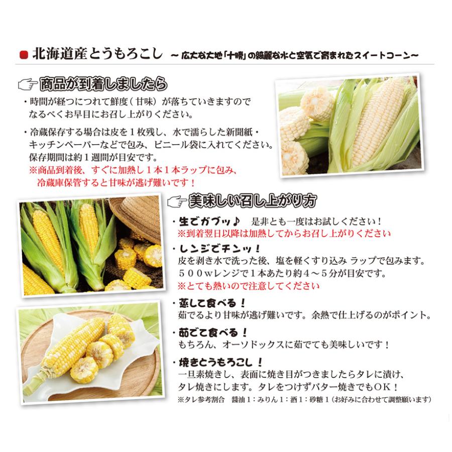 予約 早割 とうもろこし ゴールドラッシュ 10本入 朝もぎ 生でも食べ